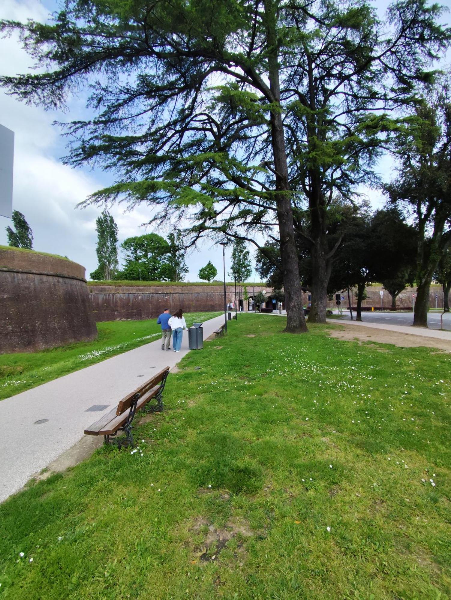 Casa Rosina + Box Per Auto 2 Bici 1,5Km Dalle Mura Lucques Extérieur photo